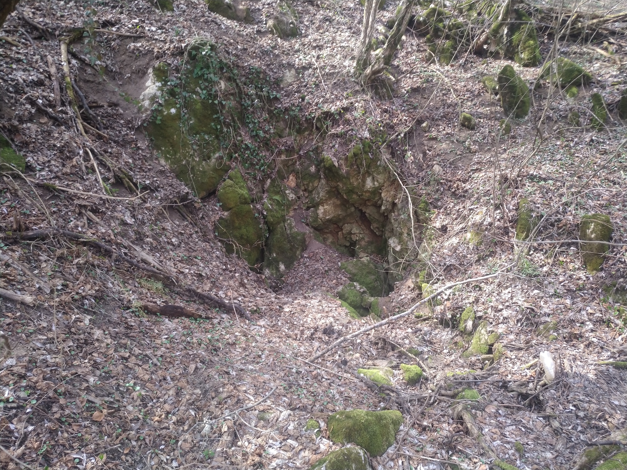 Pestera Ponor Olenica - Image 1